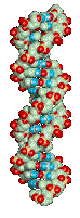 Dessin animé du modèle chimique d'une chaîne ADN accompagné du message : Anomalies génétiques. Commentaire Tobacostop : À l'analyse de la fumée du tabac on découvre  qu'avec le formaldéhyde, les anomalies gênent et tiquent...
